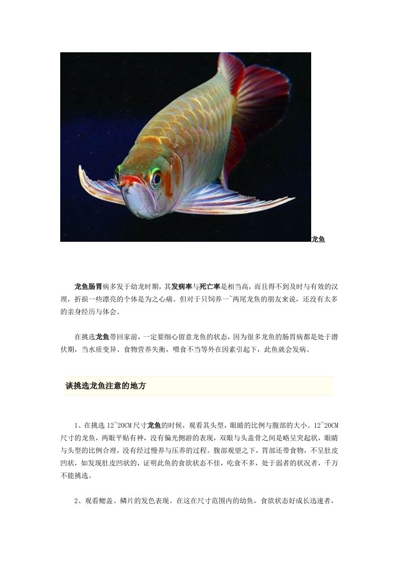 龙鱼疾病防治