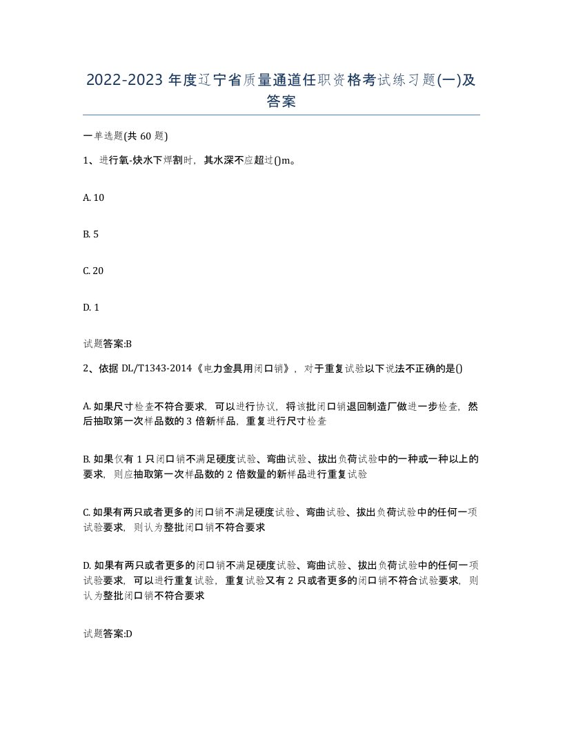 20222023年度辽宁省质量通道任职资格考试练习题一及答案