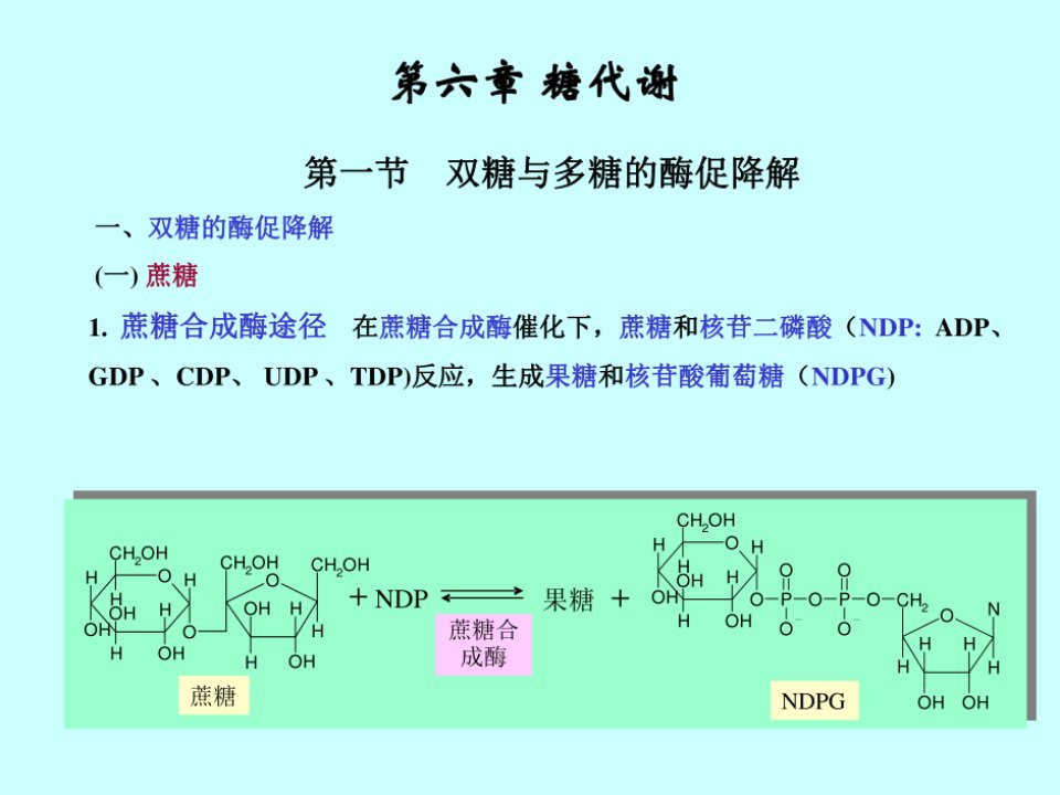 自然科学糖代谢