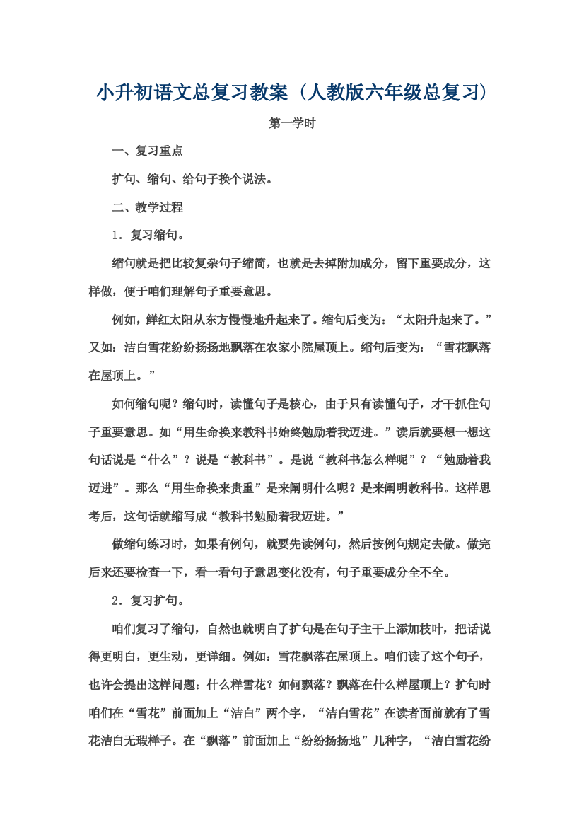 2021年小升初语文总复习教案