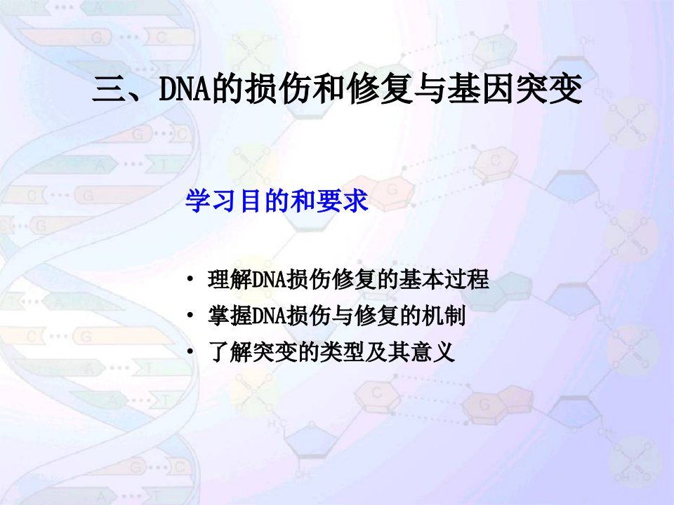 染色体与DNA(4损伤、修复与转座)