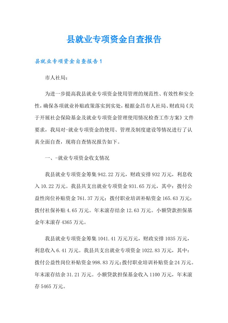 县就业专项资金自查报告