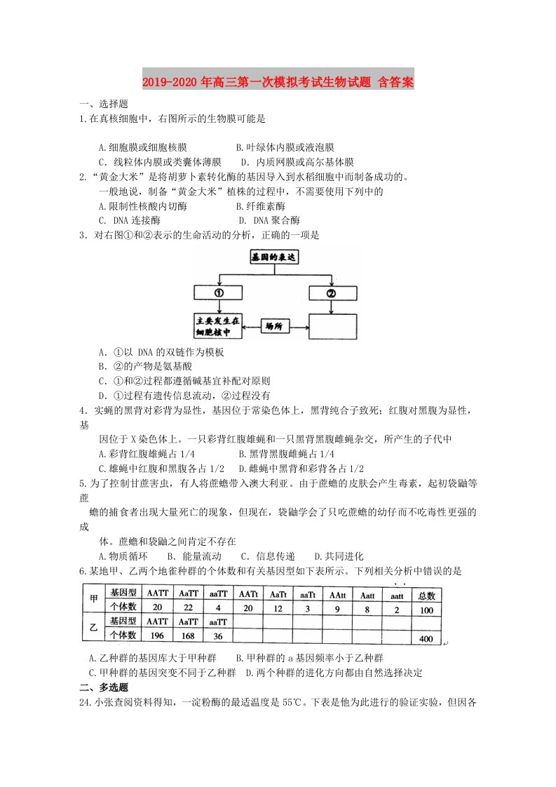 2019-2020年高三第一次模拟考试生物试题