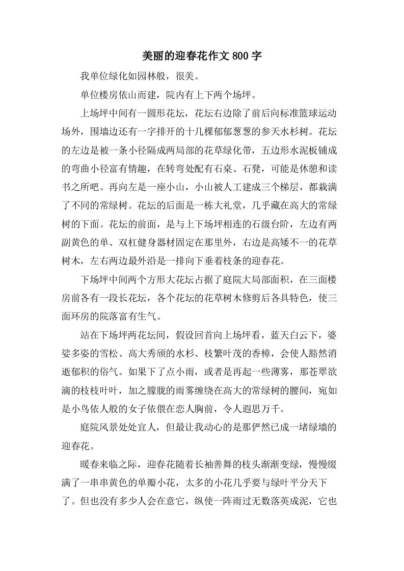 美丽的迎春花作文800字