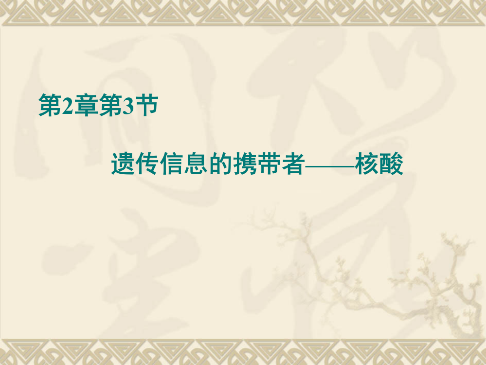 生物：23《遗传信息的携带者——核酸》课件(新人教版必修1)(2)