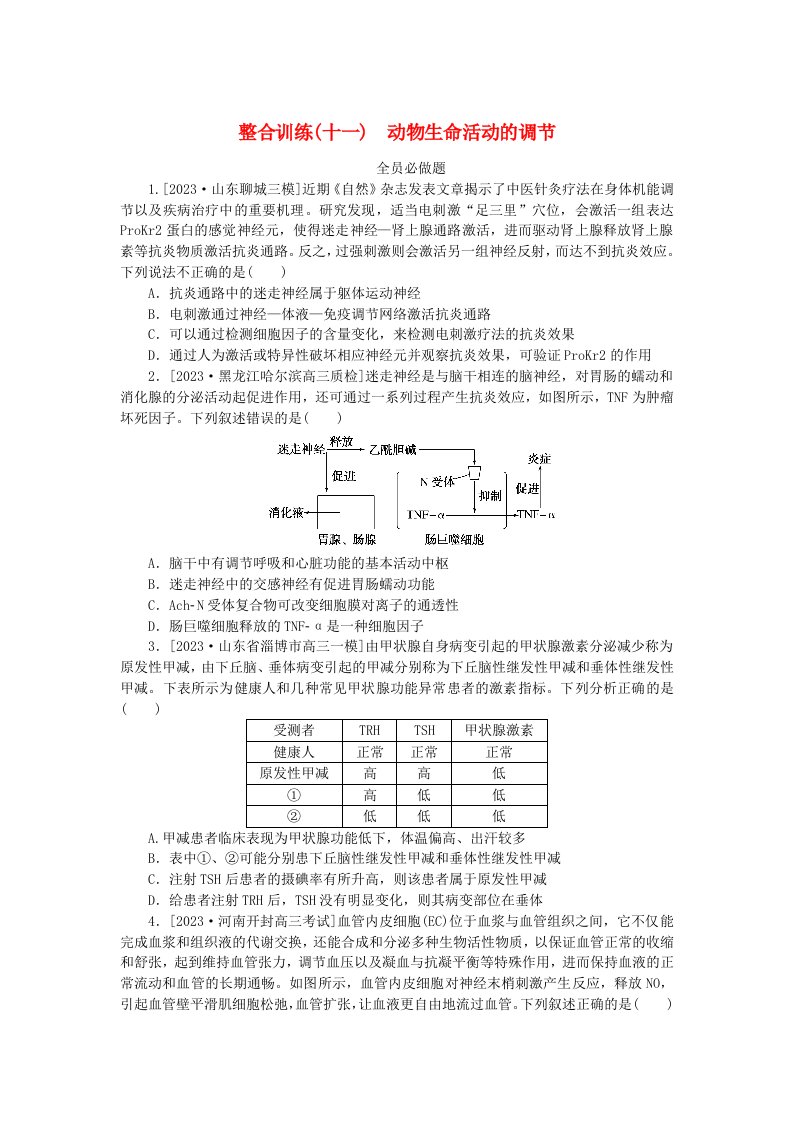 新教材2024高考生物二轮专题复习整合训练11动物生命活动的调节