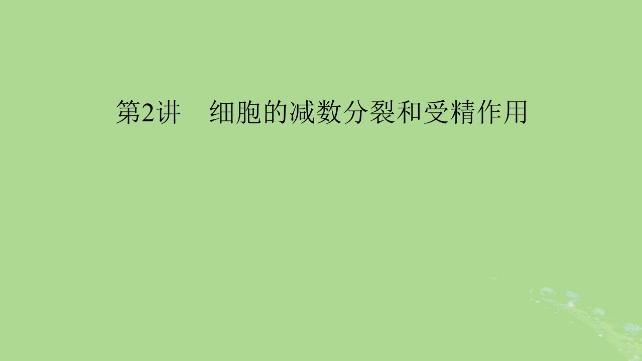 2025版高考生物一轮总复习必修1第4单元细胞的生命历程第2讲细胞的减数分裂和受精作用课件