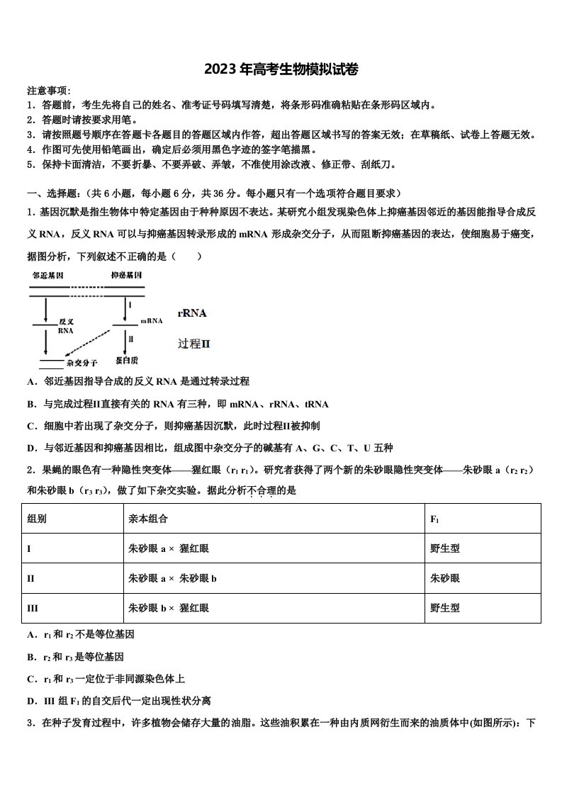 2022-2023学年湖南省常德市临澧一中高三下学期第六次检测生物试卷含解析