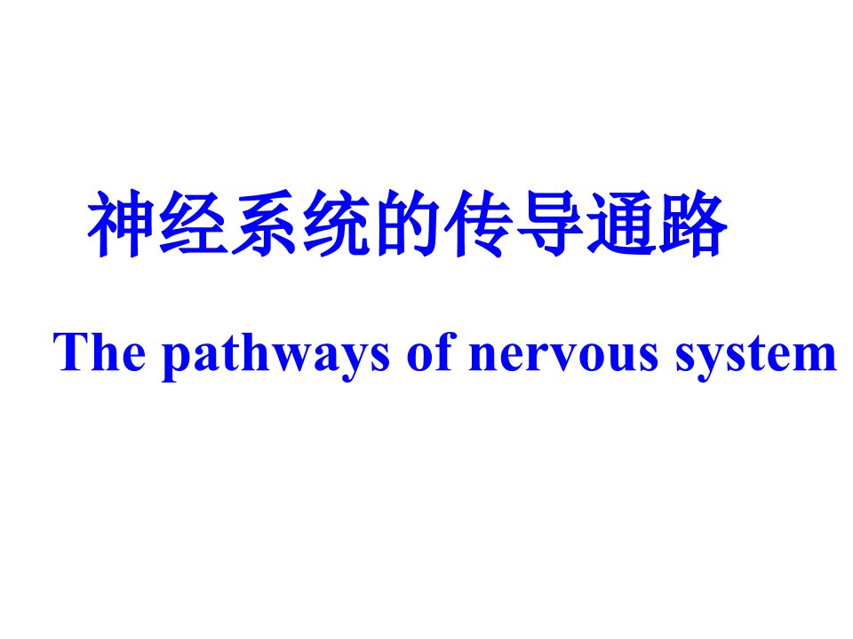 躯干和四肢意识性本体感觉及精细触觉传导通路