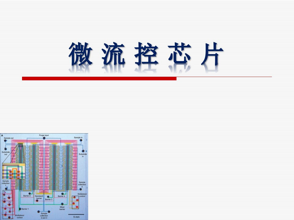 《生物芯片原理及技术》微流控芯片