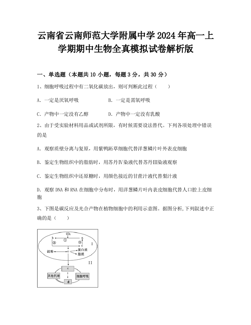 云南省云南师范大学附属中学2024年高一上学期期中生物全真模拟试卷解析版