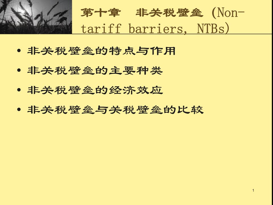 非关税壁垒的特点与作用专业版