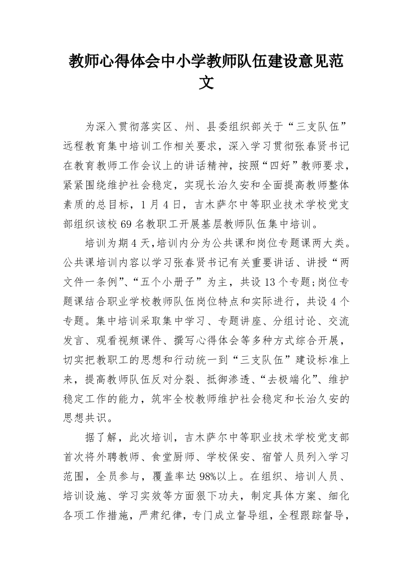 教师心得体会中小学教师队伍建设意见范文