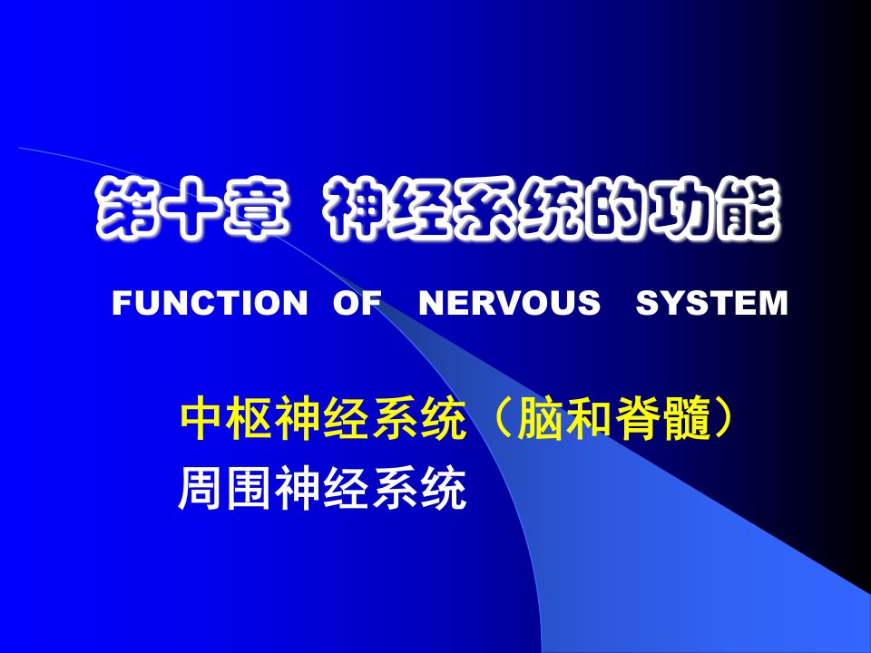 《神经系统的功能》PPT课件