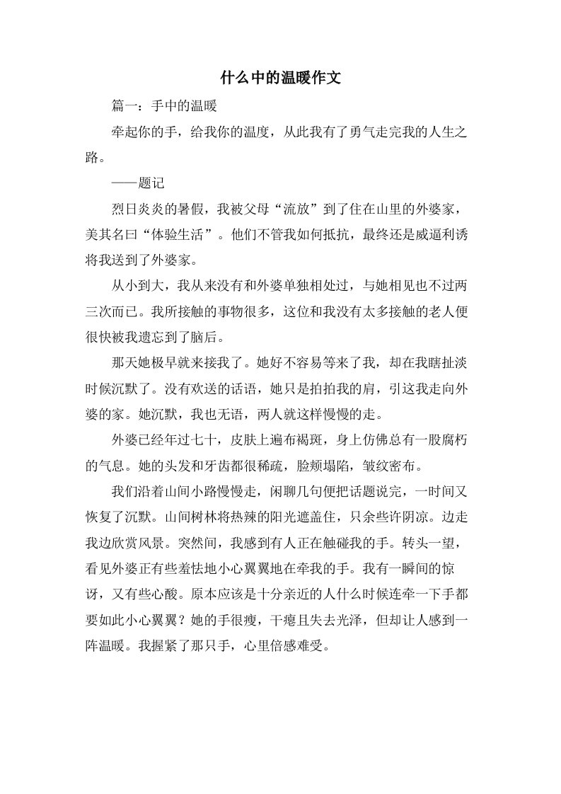 什么中的温暖作文