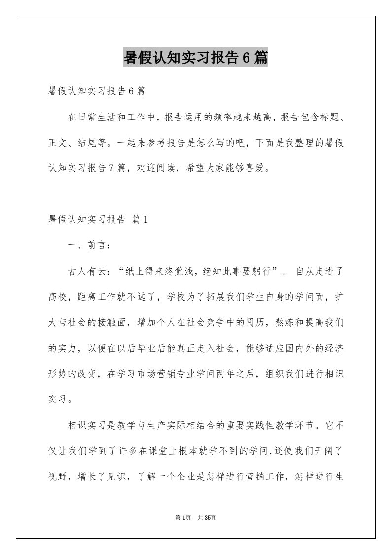 暑假认知实习报告6篇