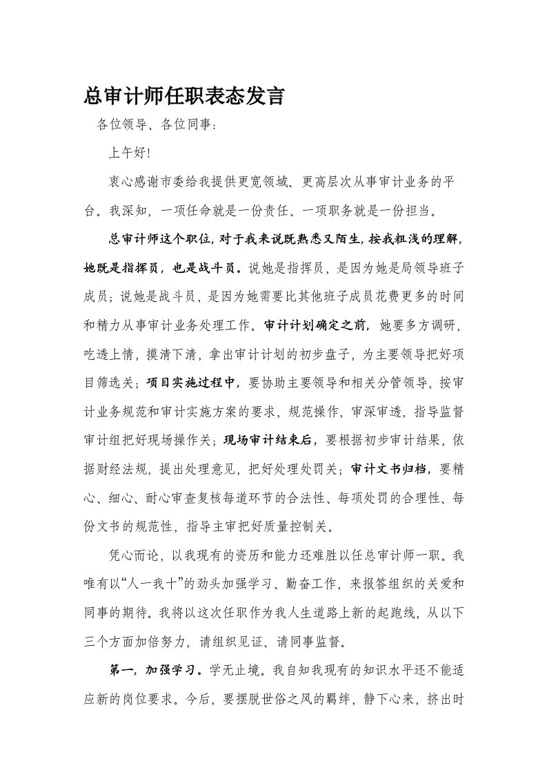 总审计师任职表态发言