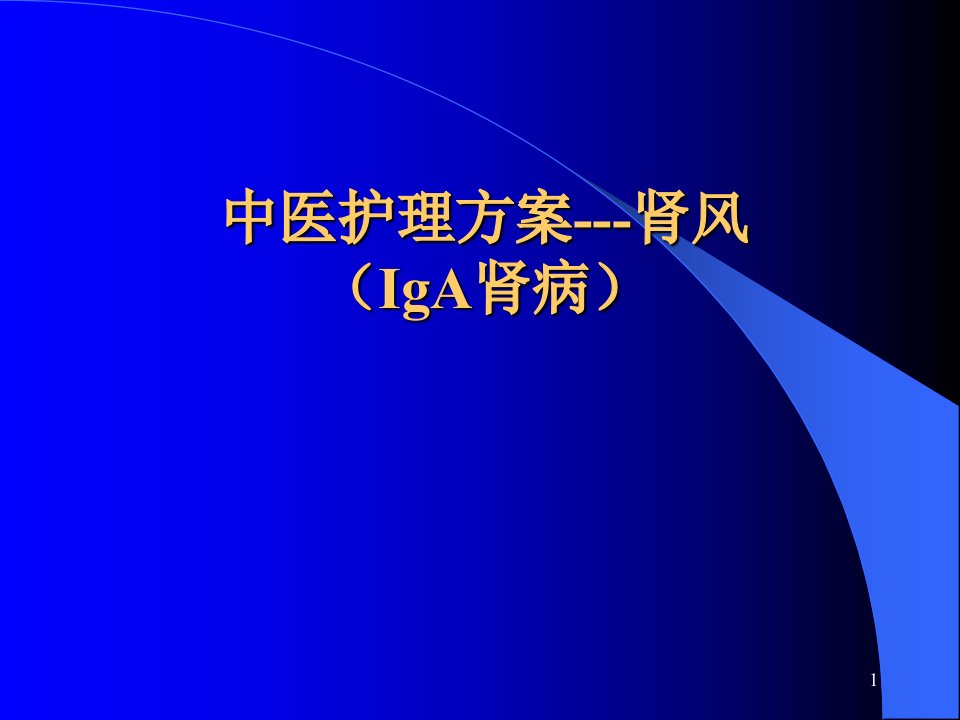 中医护理方案肾风iga肾病ppt课件