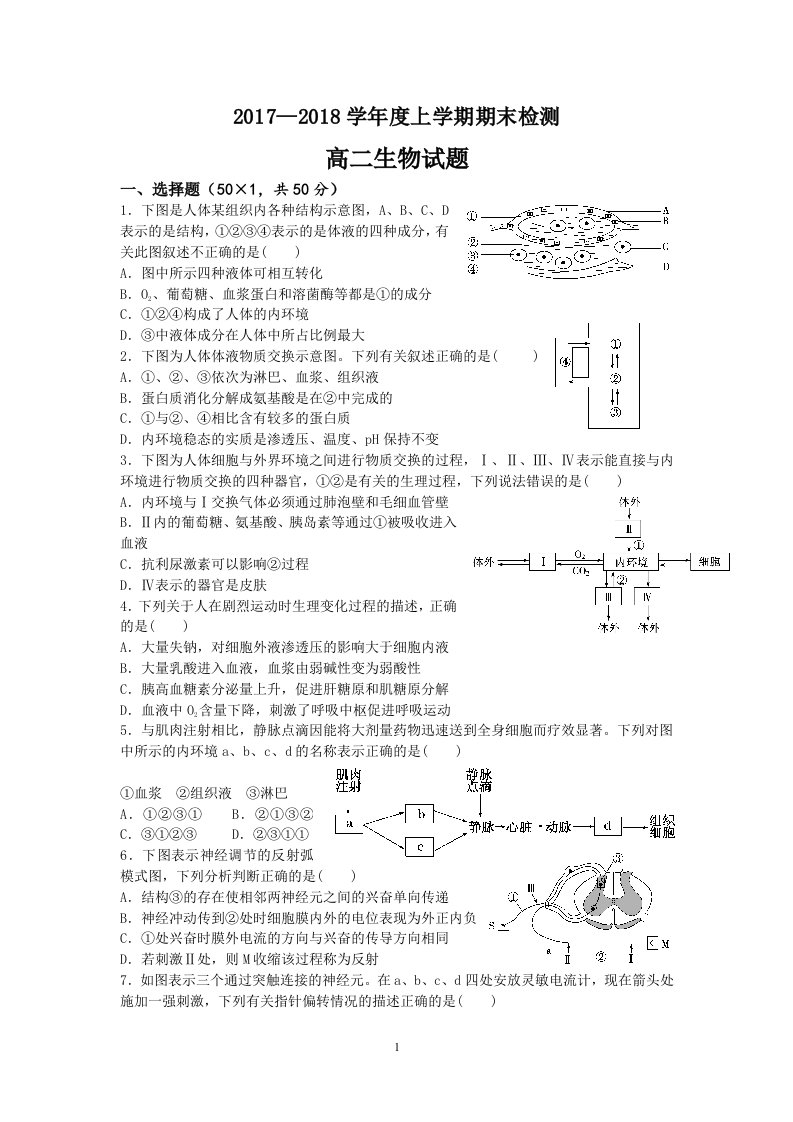 高二上学期生物期末测试题【高中生物必修3《稳态与环境》综合测试，附参考答案、答题卡】