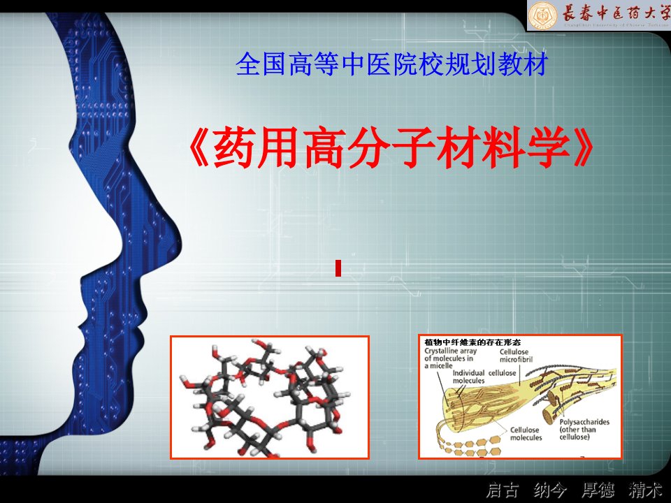 药用高分子材料学概论