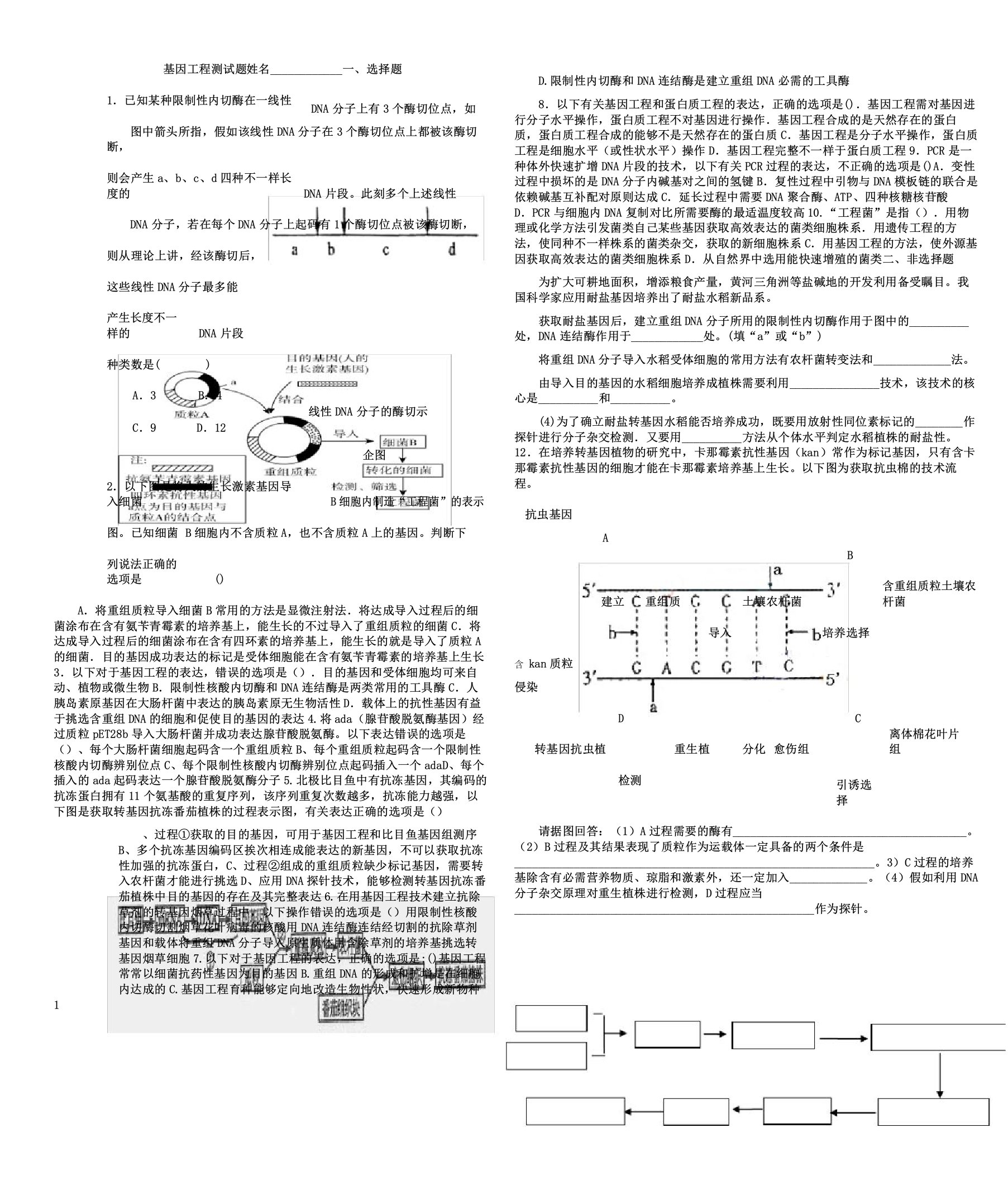 高二生物选修三基因工程测试题文档