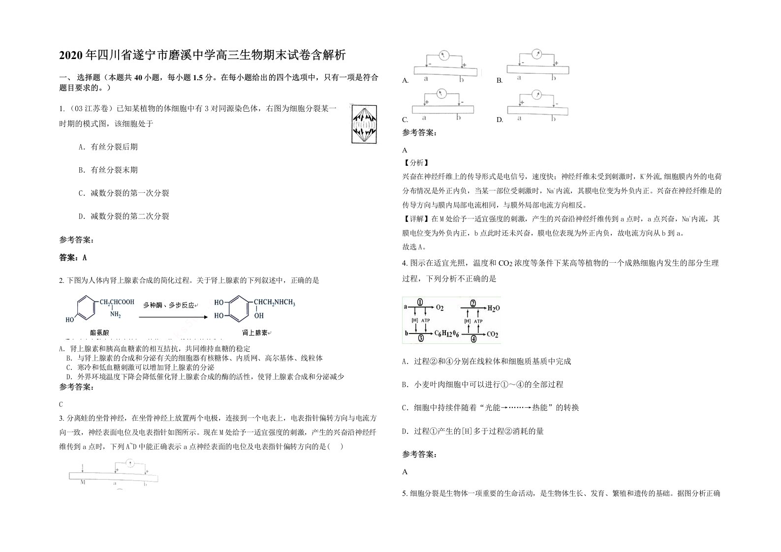 2020年四川省遂宁市磨溪中学高三生物期末试卷含解析