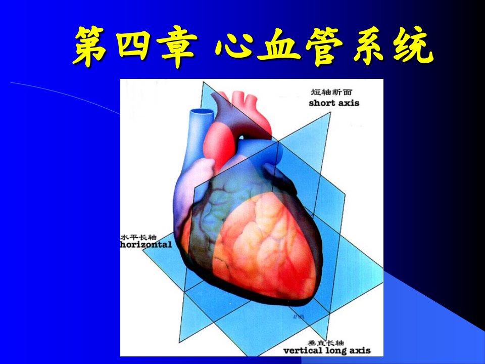 《心血管系统核医学》PPT课件