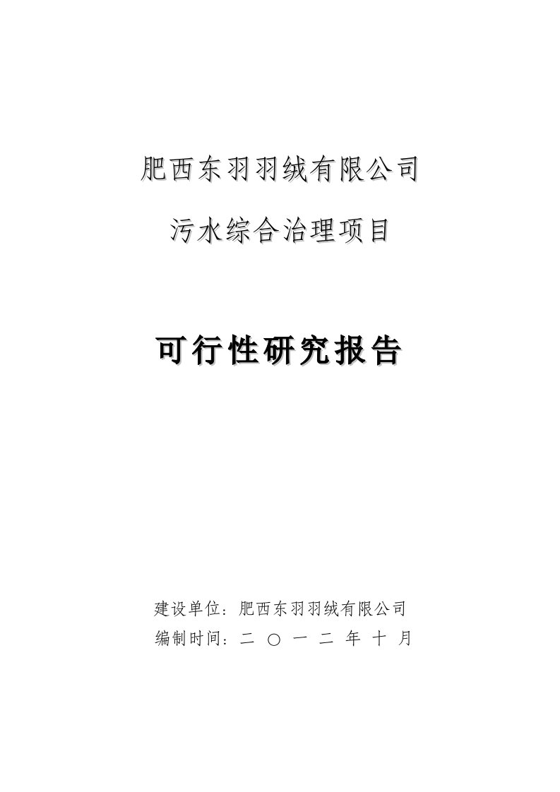 肥西东羽羽绒有限公司污水综合治理项目可行性研究报告