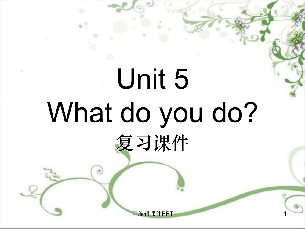 译林版小学英语五年级-unit5-复习