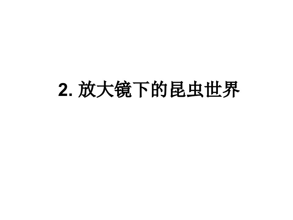 1-2放大镜下的昆虫世界