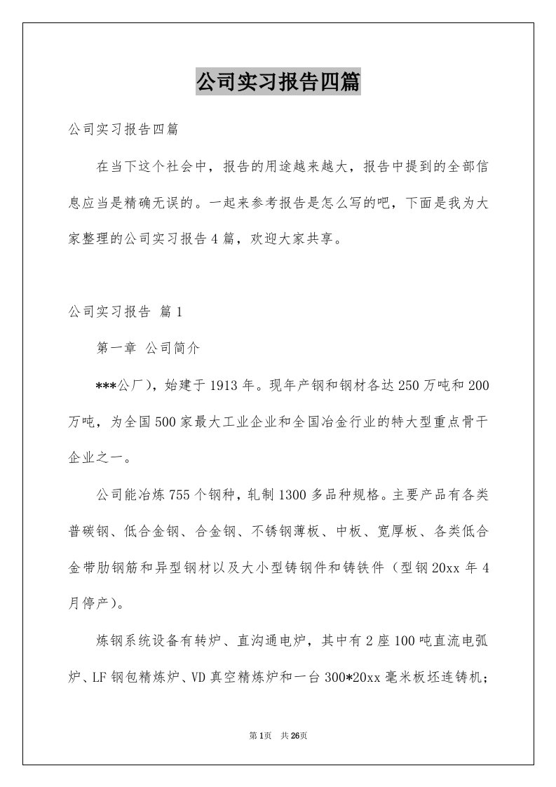 公司实习报告四篇例文5