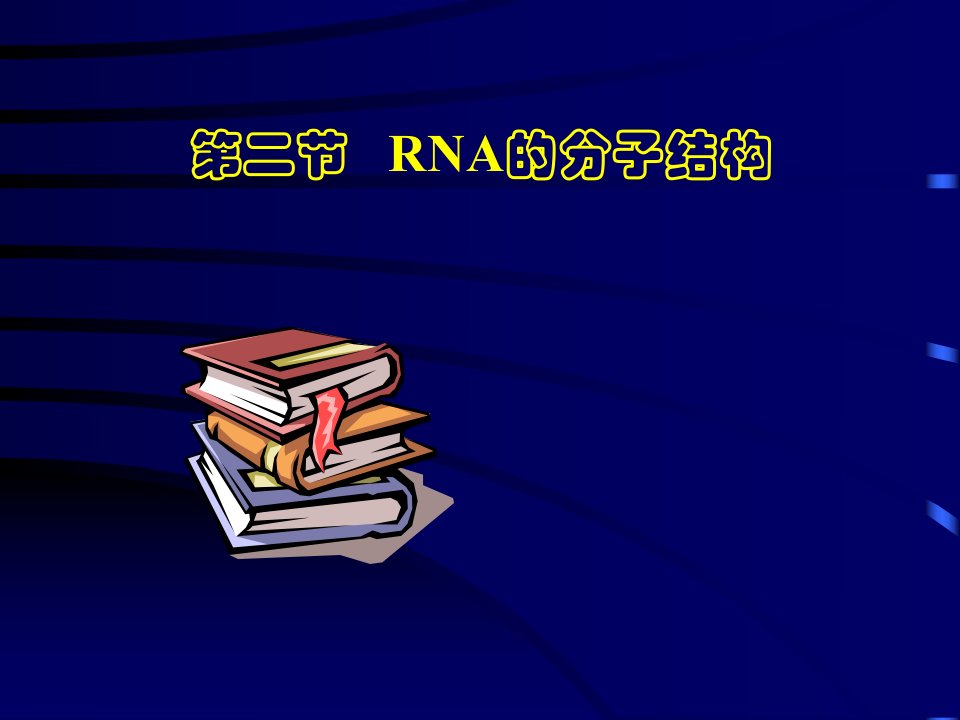 RNA的分子结构