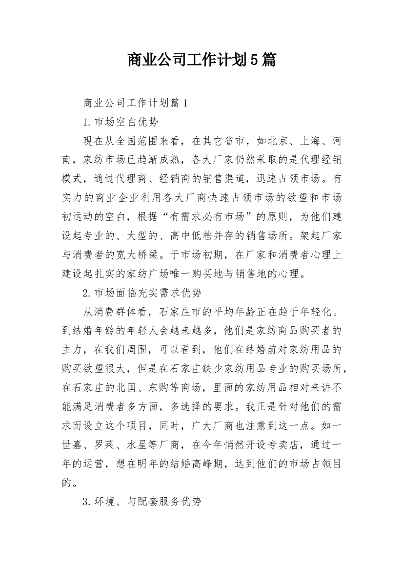 商业公司工作计划5篇