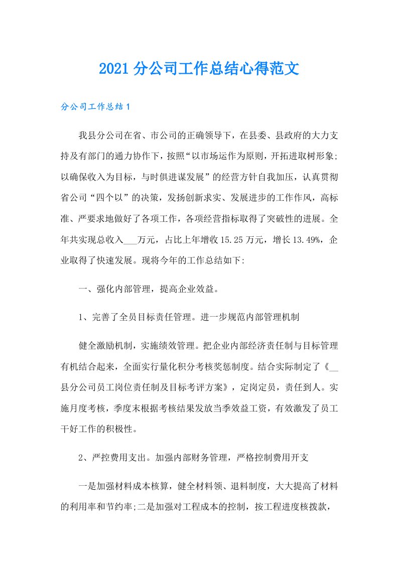 分公司工作总结心得范文