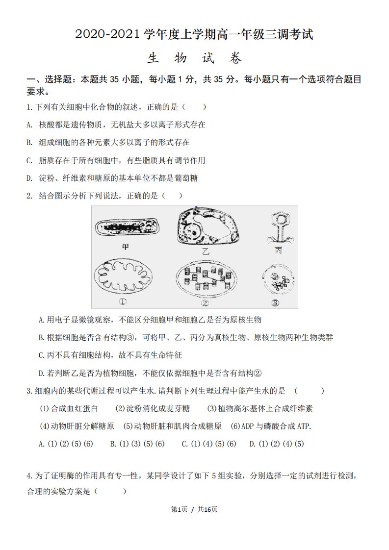 高一生物考试试卷及答案