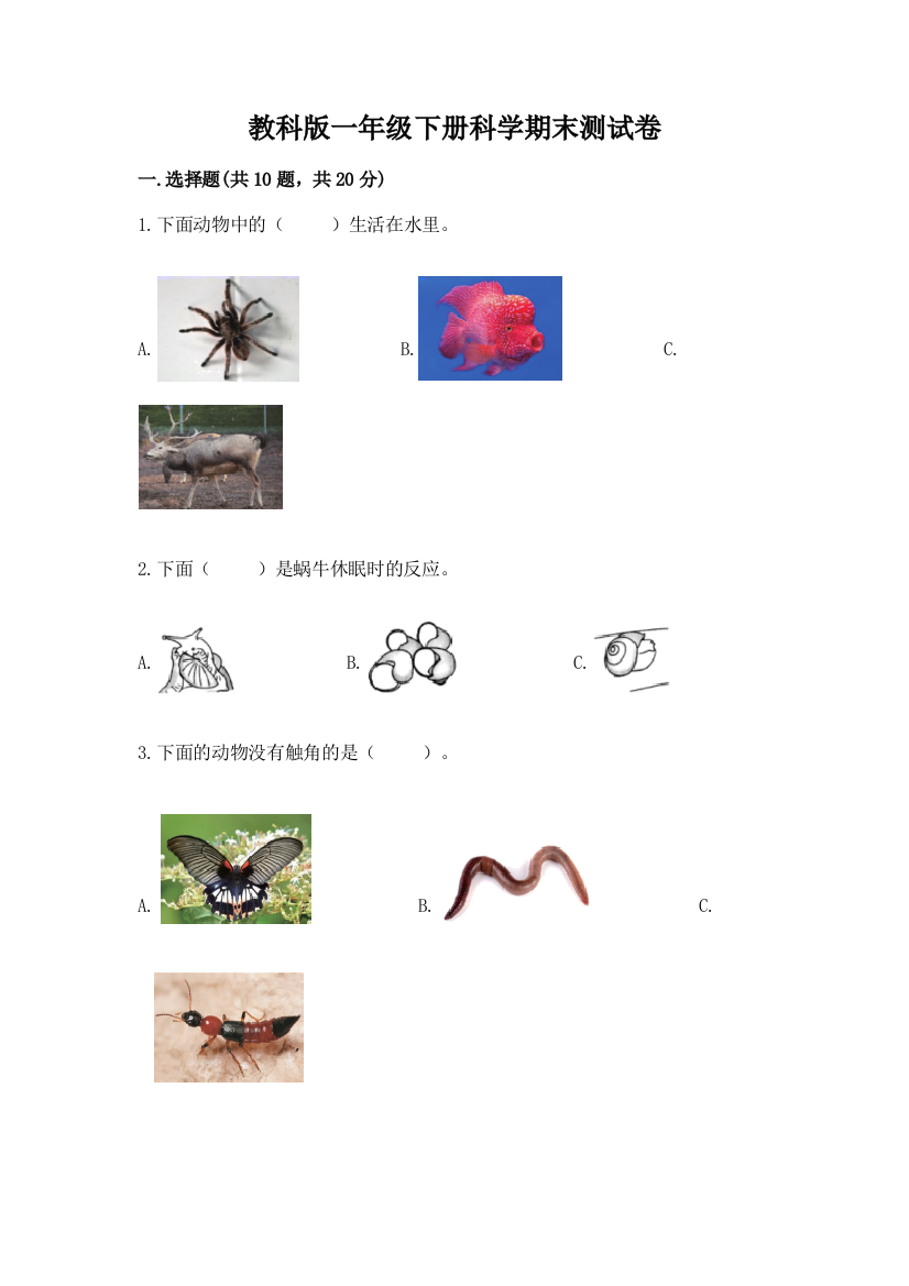 教科版一年级下册科学期末测试卷及参考答案（突破训练）