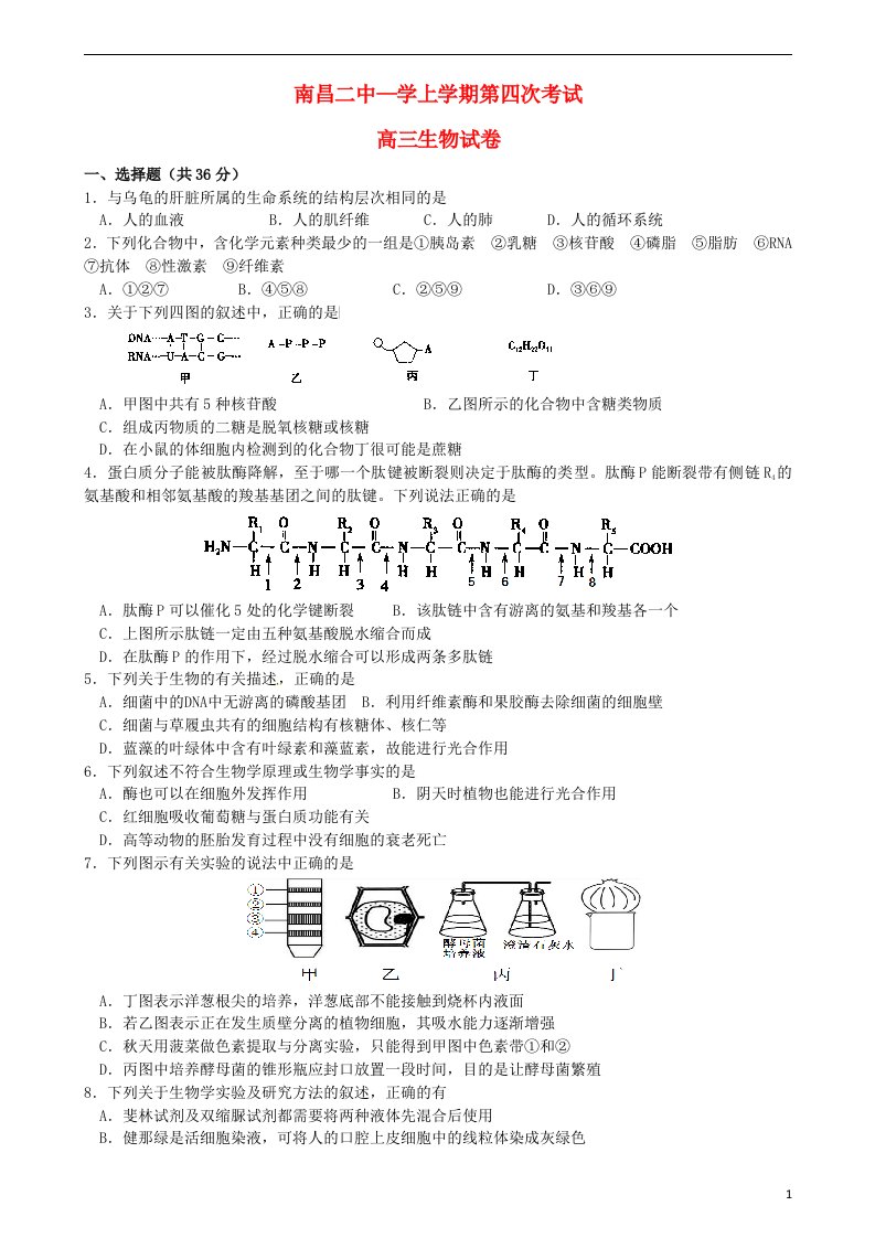 江西省南昌市第二中学高三生物上学期第四次考试试题