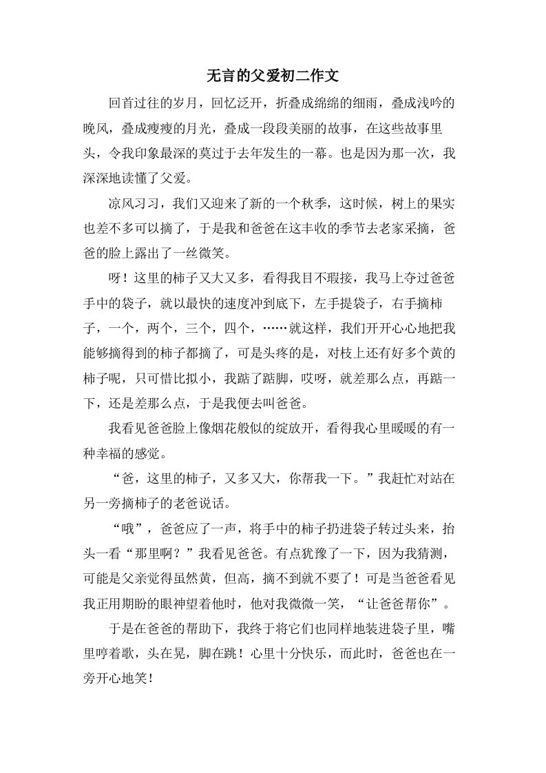 无言的父爱初二作文