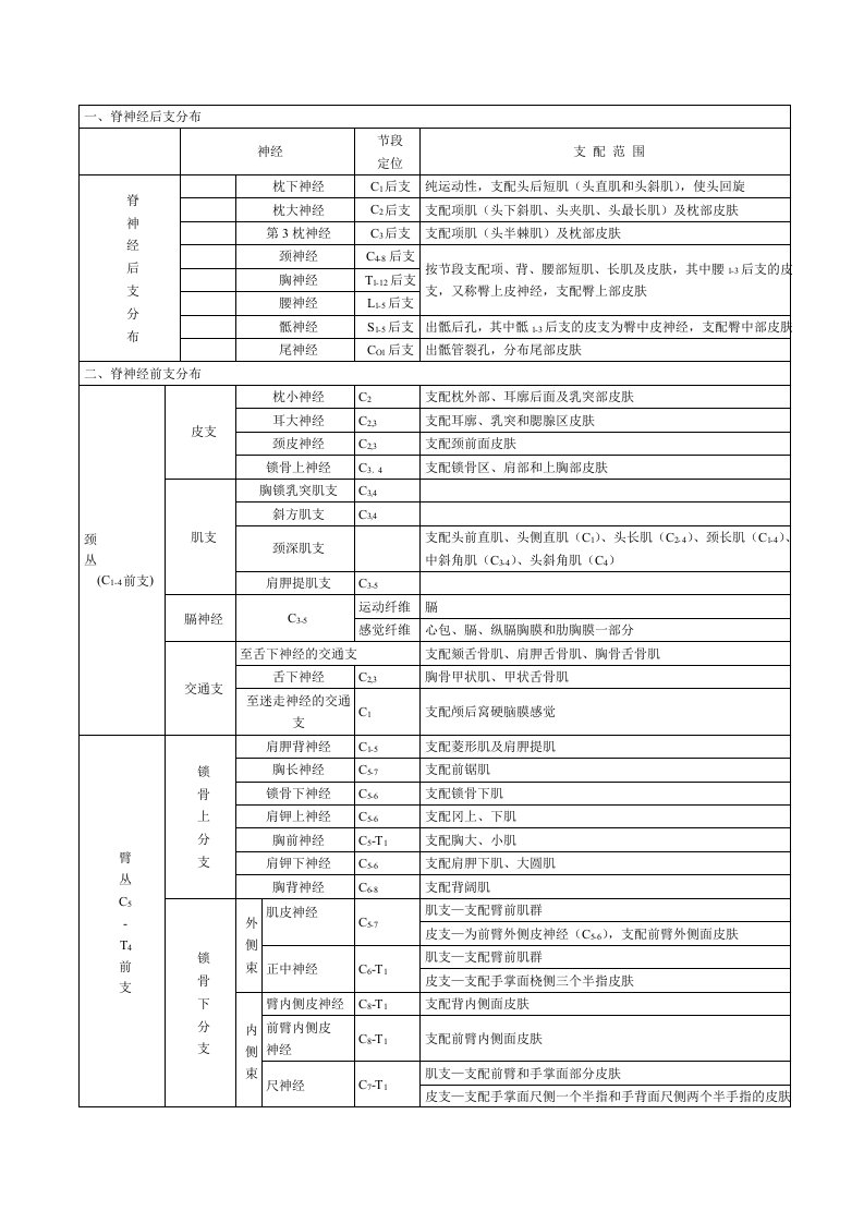 脊神经支配图