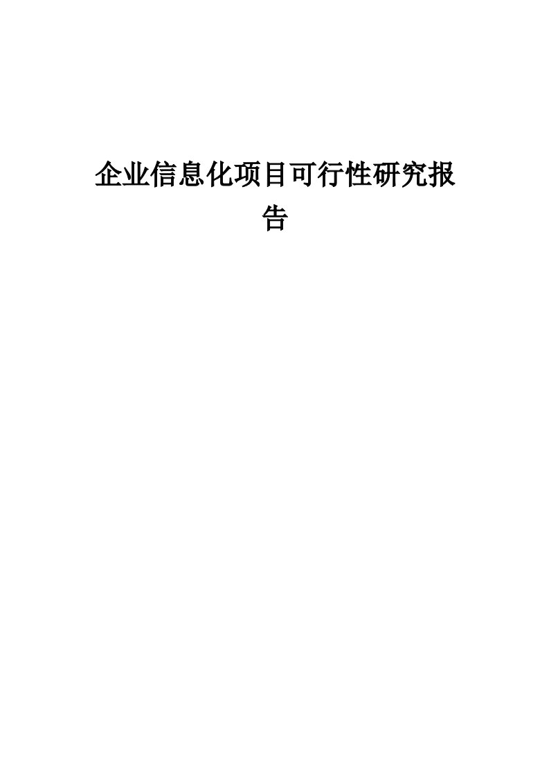 2024年企业信息化项目可行性研究报告