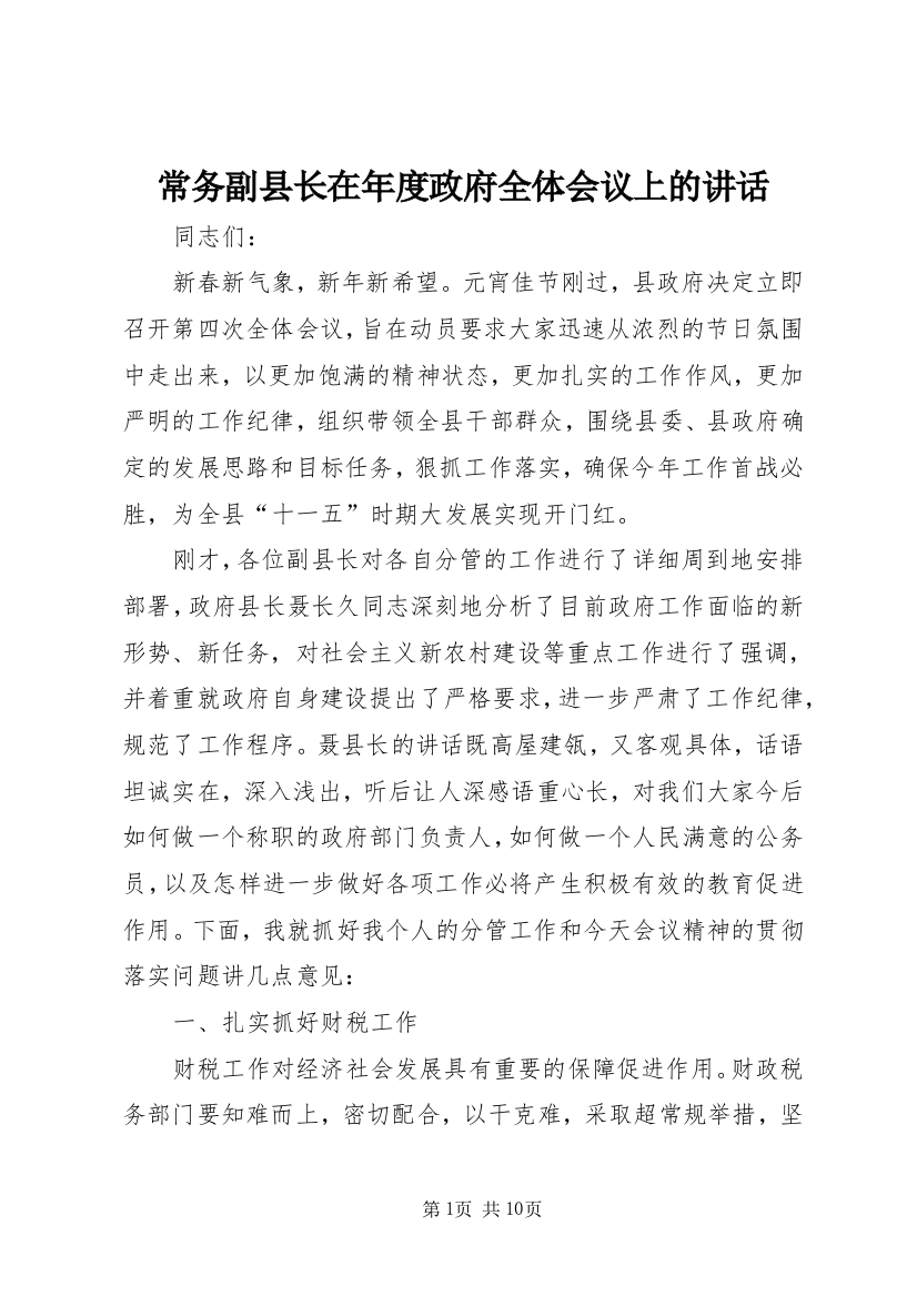 常务副县长在年度政府全体会议上的讲话