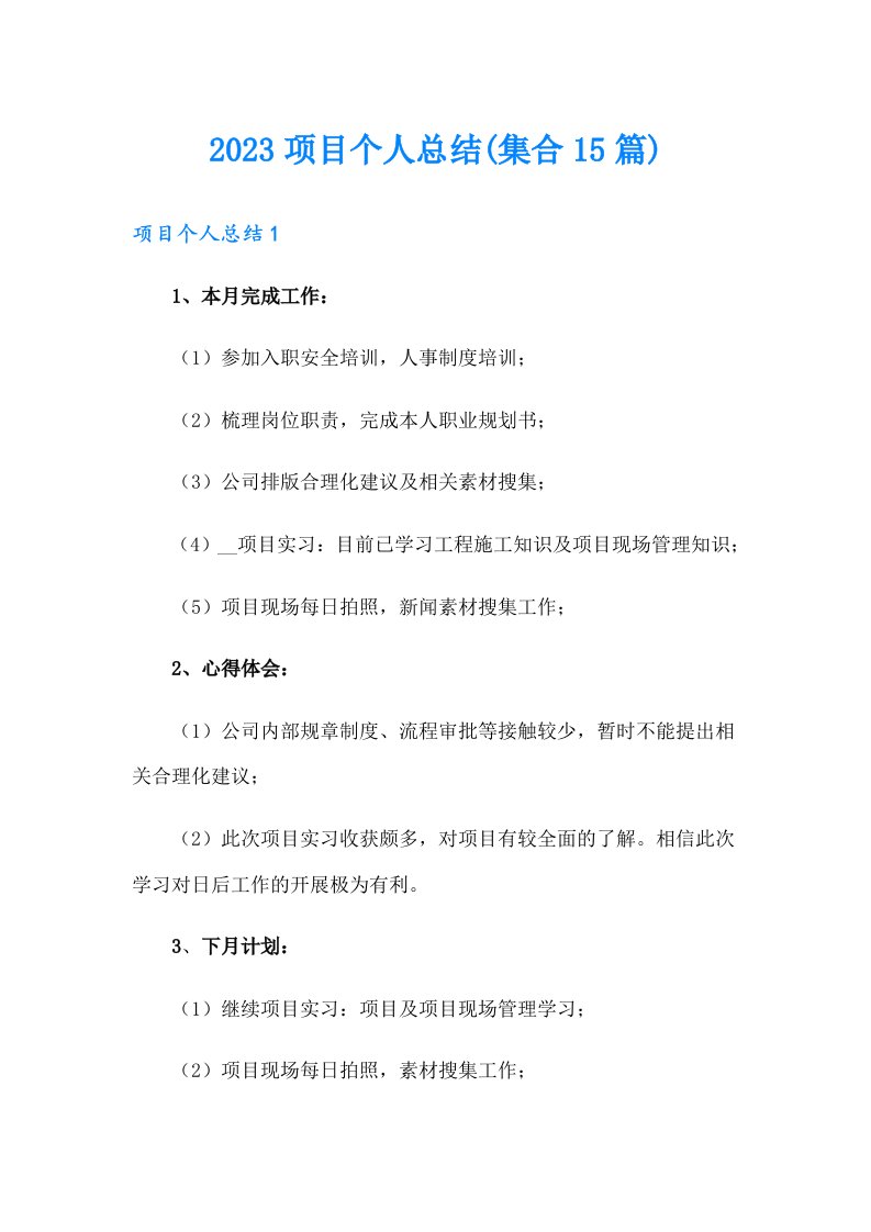 2023项目个人总结(集合15篇)