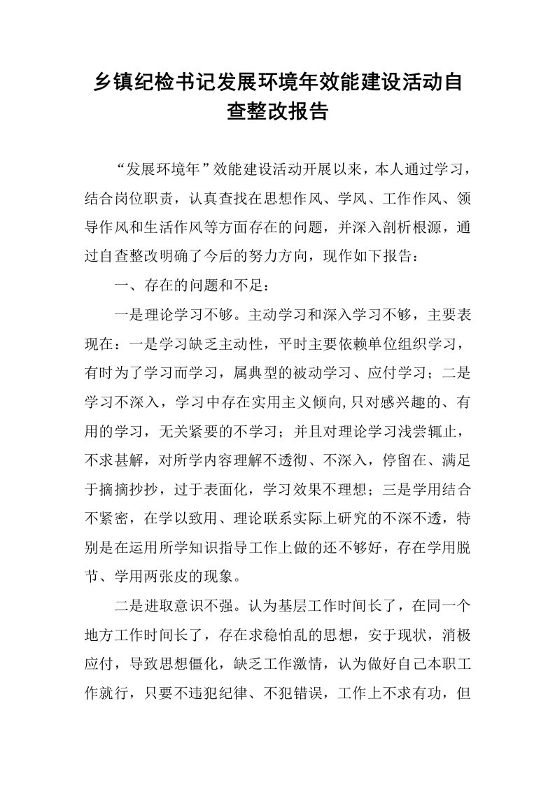 乡镇纪检书记发展环境年效能建设活动自查整改报告.docx