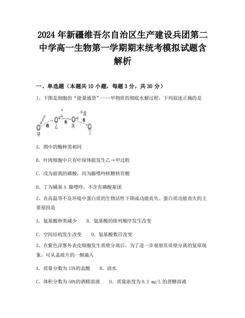 2024年新疆维吾尔自治区生产建设兵团第二中学高一生物第一学期期末统考模拟试题含解析