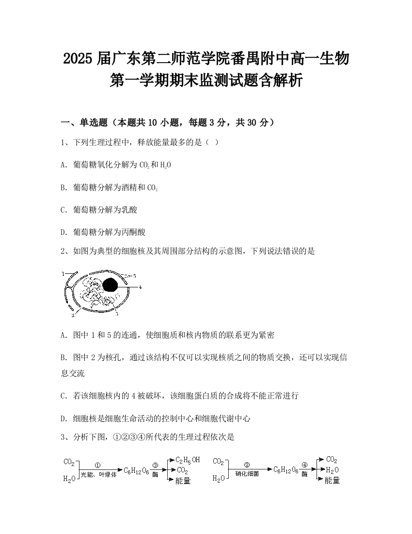 2025届广东第二师范学院番禺附中高一生物第一学期期末监测试题含解析