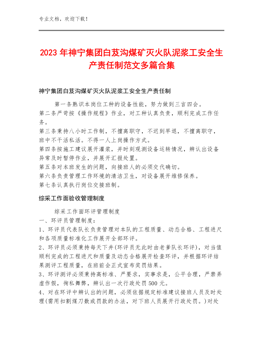 2023年神宁集团白芨沟煤矿灭火队泥浆工安全生产责任制范文多篇合集