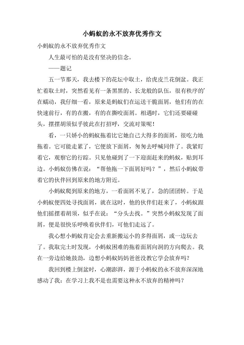 小蚂蚁的永不放弃作文