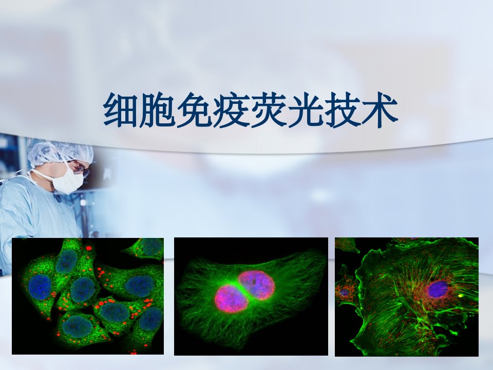 细胞免疫荧光技术ppt课件