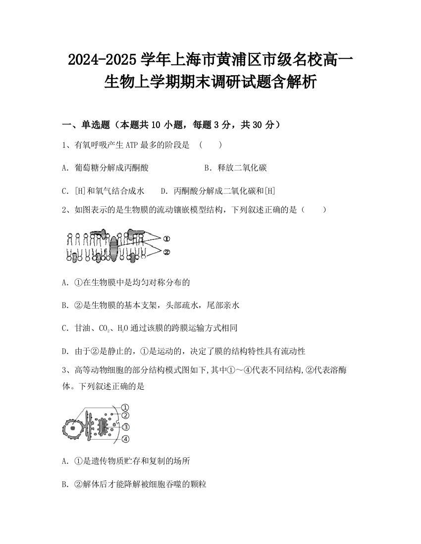 2024-2025学年上海市黄浦区市级名校高一生物上学期期末调研试题含解析