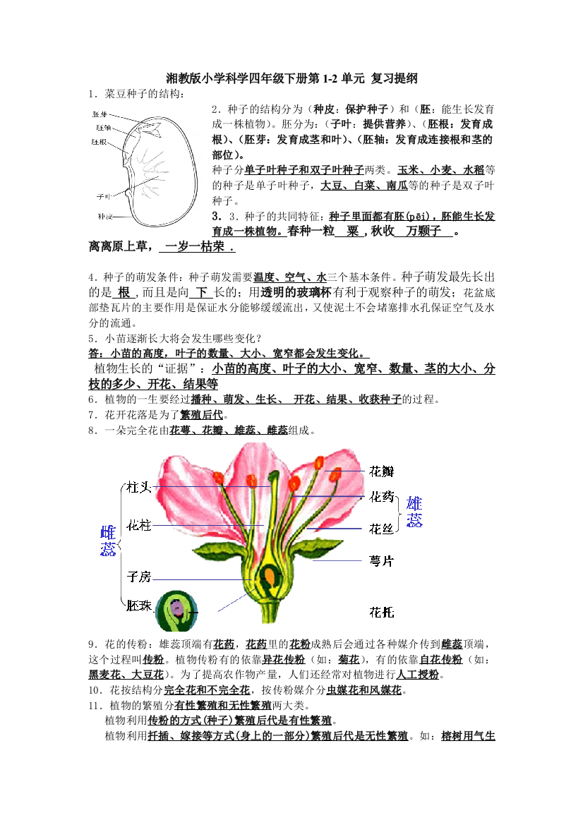 湘教版小学科学四年级下册复习提纲(有答案)